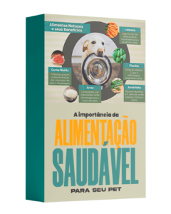 Módulo 4