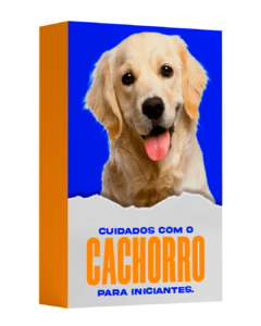 Cuidados com o cão para iniciantes