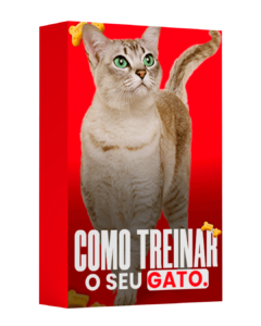 Como treinar o seu gato