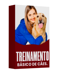 Treinamento básico de cães